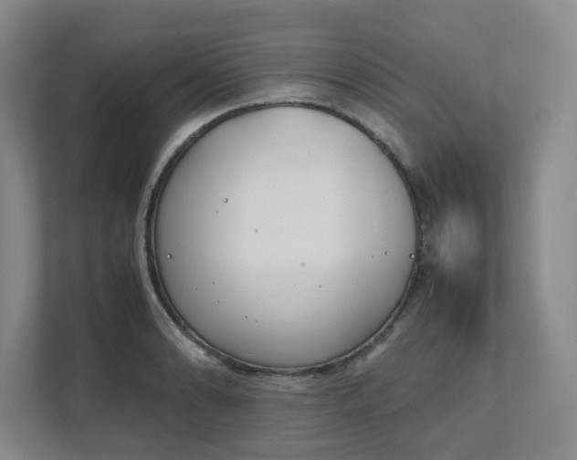 X0000111491086200907211004