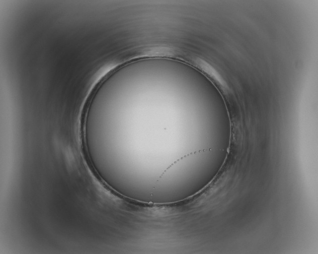 X0000111491087200907211004