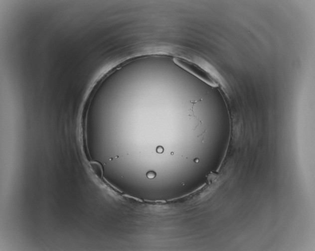 X0000111491088200907211004