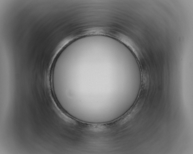 X0000111491090200907211004