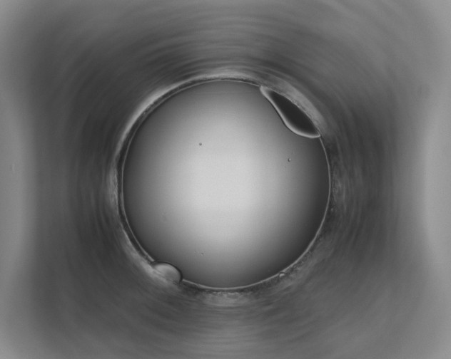 X0000111491092200907211004