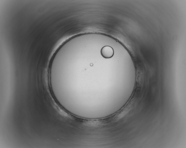 X0000111491094200907211004