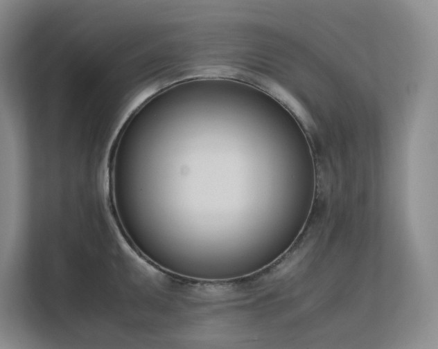 X0000111491095200907211004