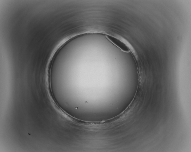 X0000111491096200907211004