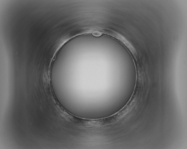 X0000111491097200907211004