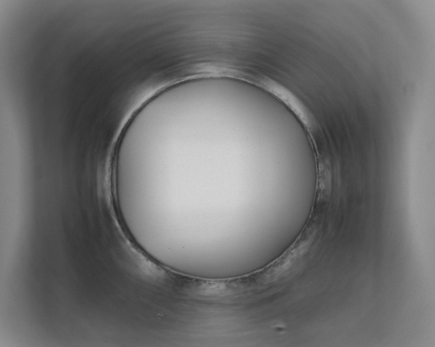 X0000111491098200907211004