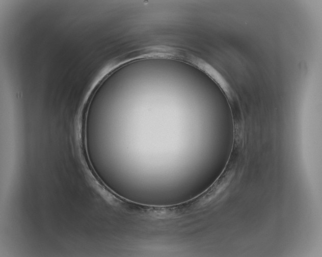 X0000111491099200907211004