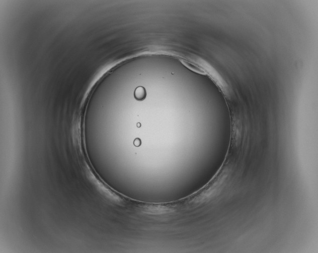 X0000111491100200907211004