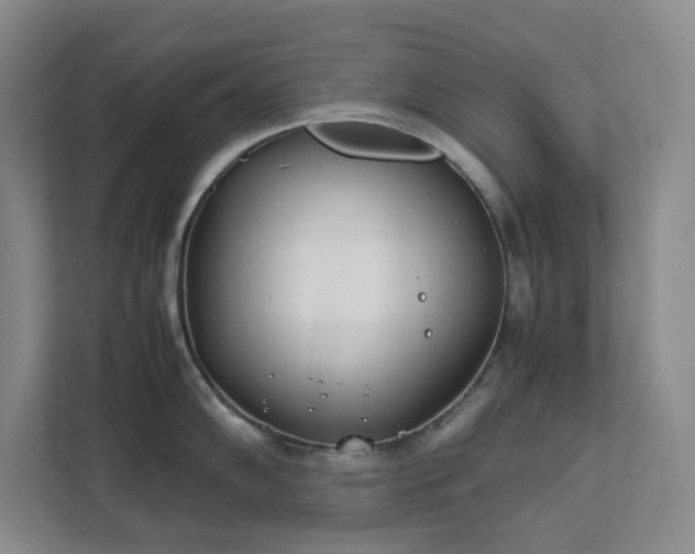 X0000111491102200907211004