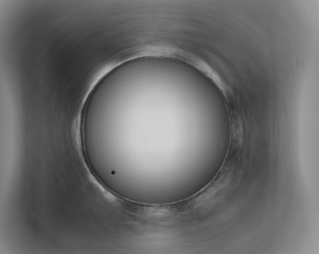 X0000111491103200907211004