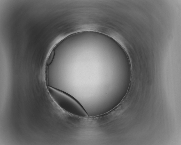 X0000111491104200907211004