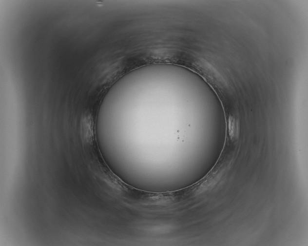 X0000111491107200907211003