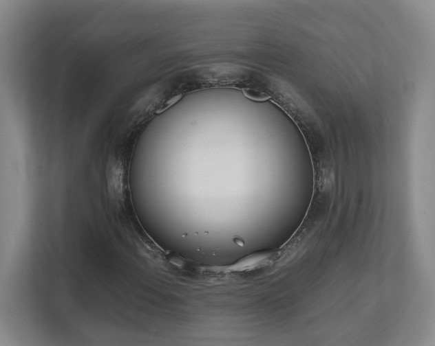 X0000111491108200907211003