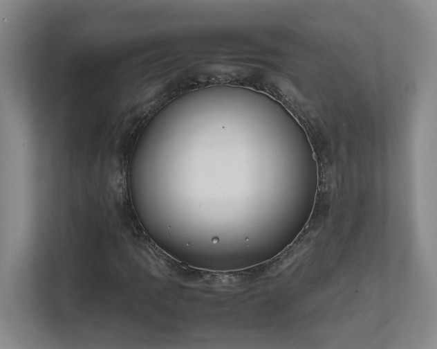 X0000111491109200907211003