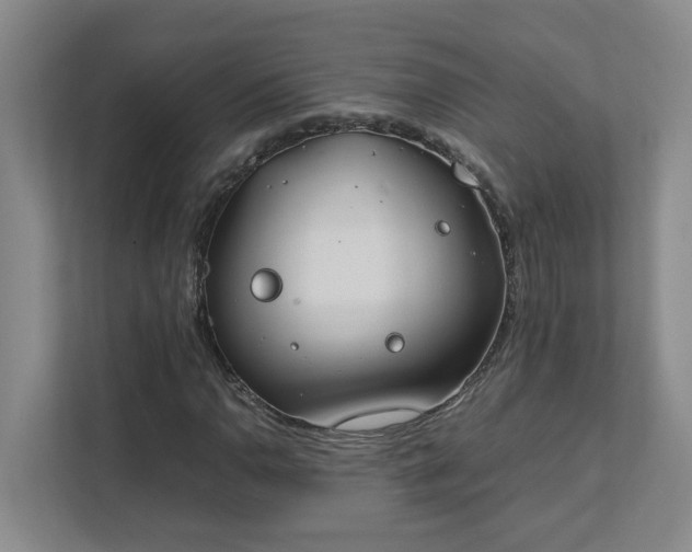 X0000111491110200907211003