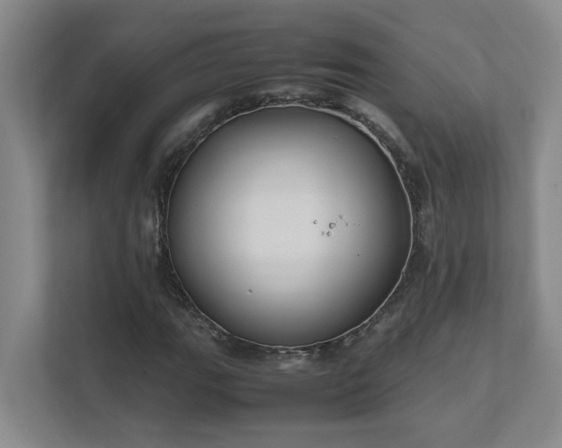 X0000111491111200907211003