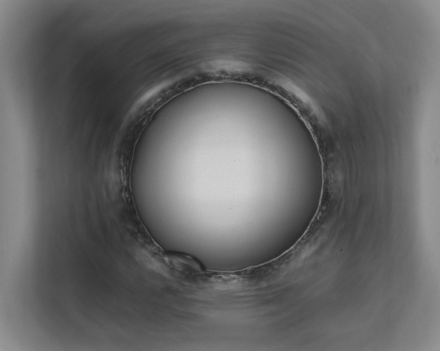 X0000111491112200907211003