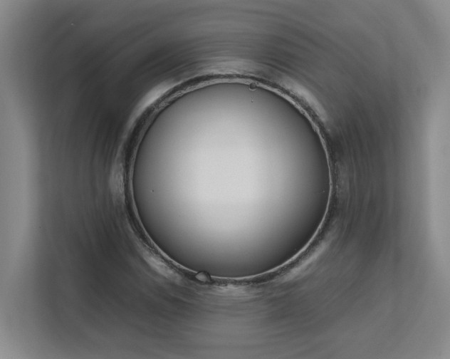 X0000111491114200907211003