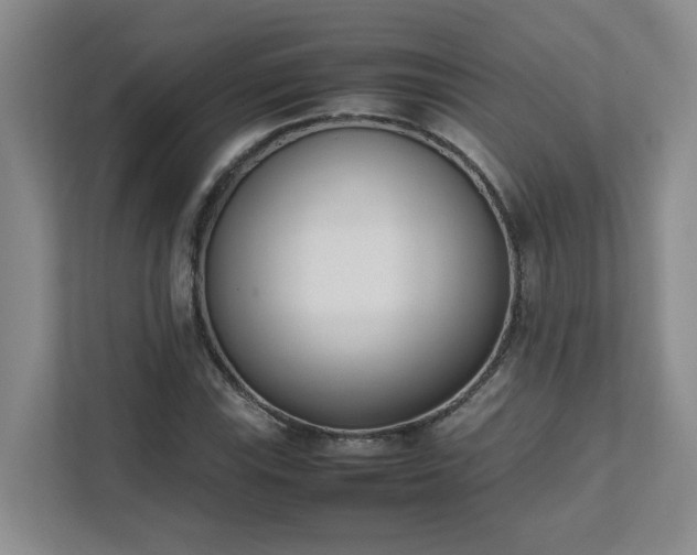 X0000111491115200907211003