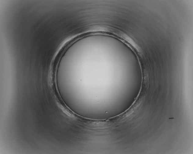 X0000111491116200907211004