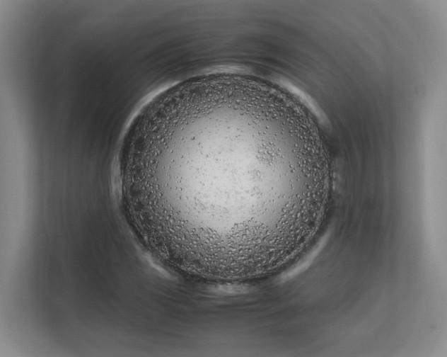 X0000111491117200907211004