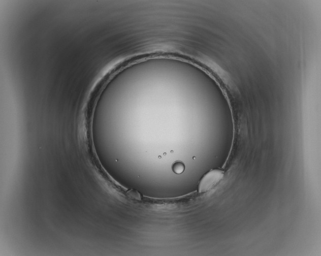 X0000111491118200907211004