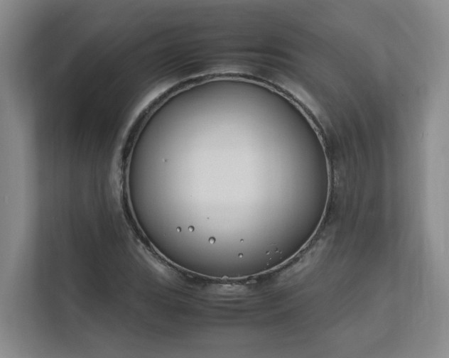 X0000111491119200907211004