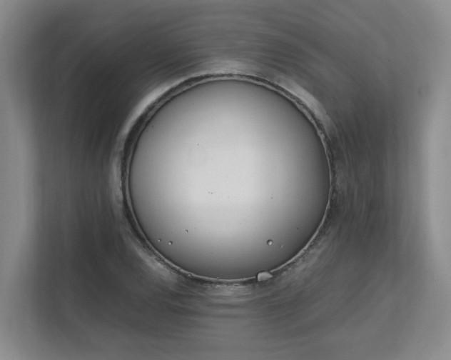 X0000111491120200907211004