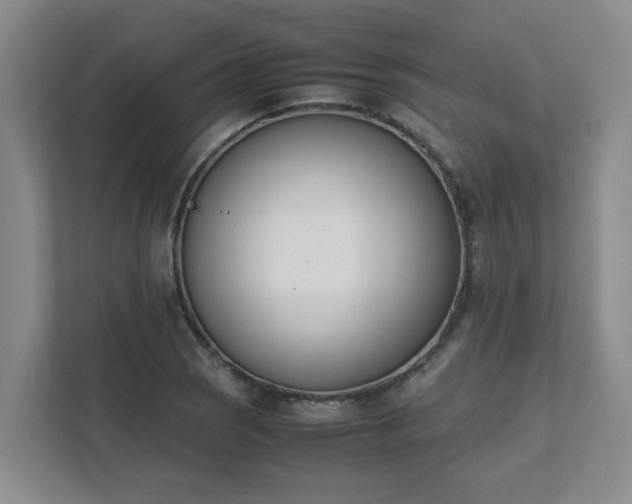 X0000111491121200907211004