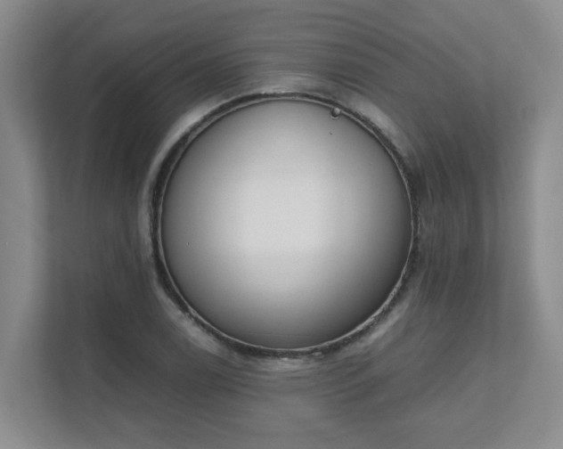 X0000111491122200907211004