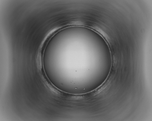 X0000111491123200907211004