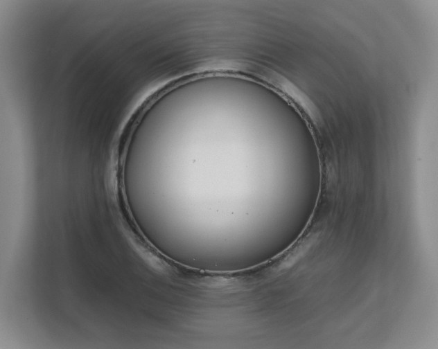 X0000111491124200907211004