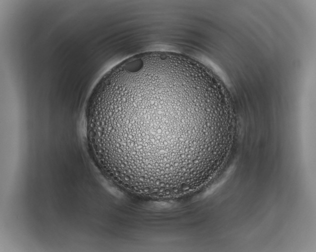 X0000111491125200907211004