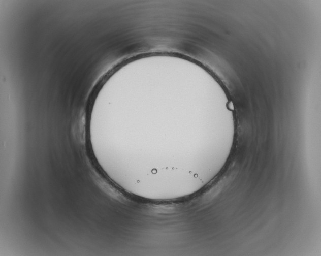 X0000111491126200907211004