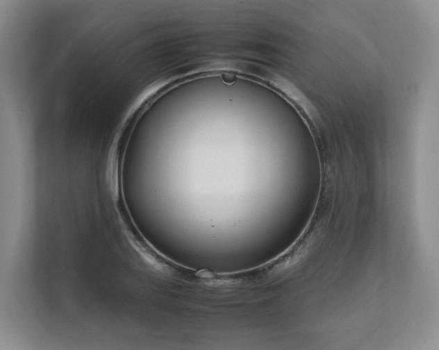 X0000111491127200907211004