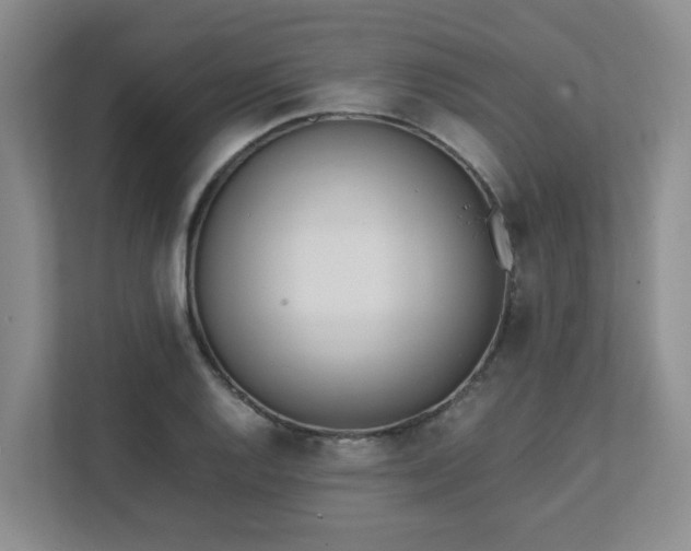 X0000111491128200907211004