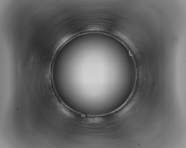 X0000111491129200907211004