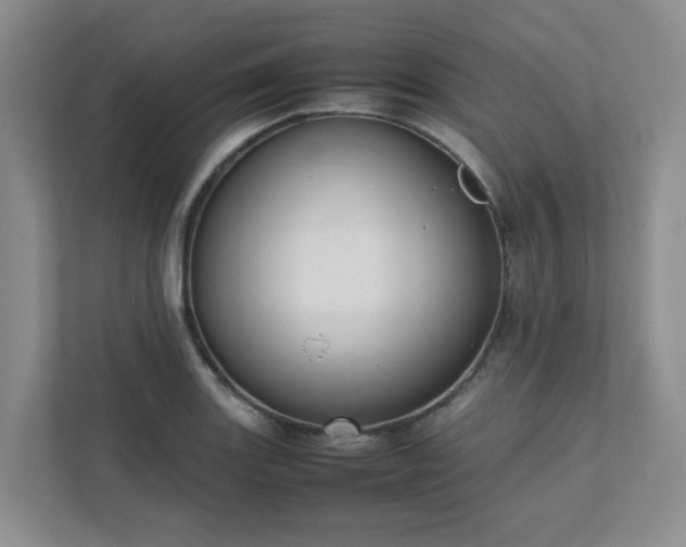 X0000111491131200907211004