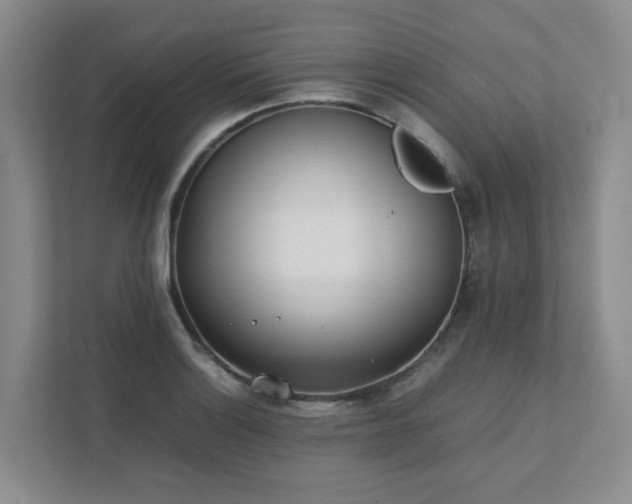 X0000111491132200907211004