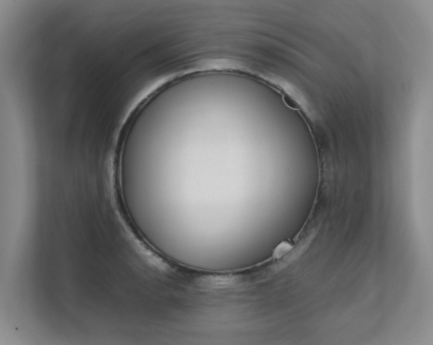 X0000111491134200907211004