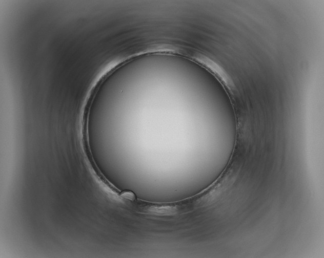 X0000111491135200907211004