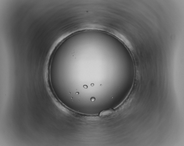 X0000111491136200907211004