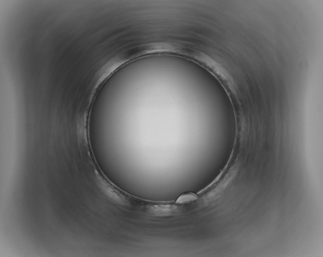 X0000111491137200907211004