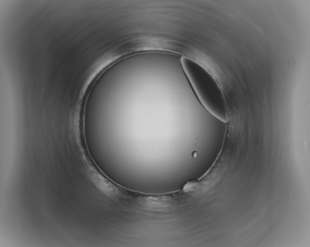 X0000111491138200907211004