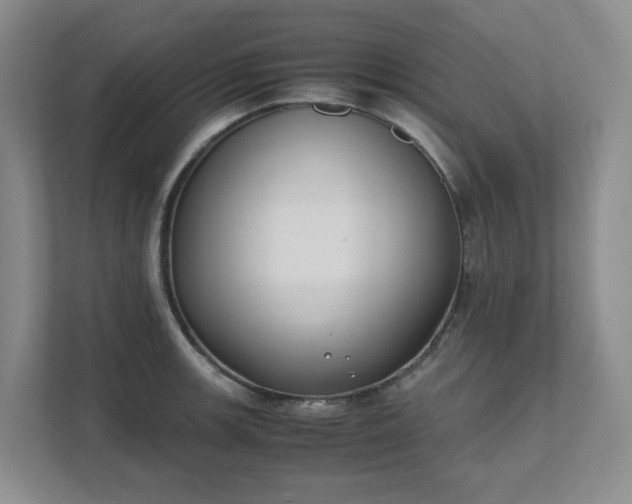 X0000111491139200907211004