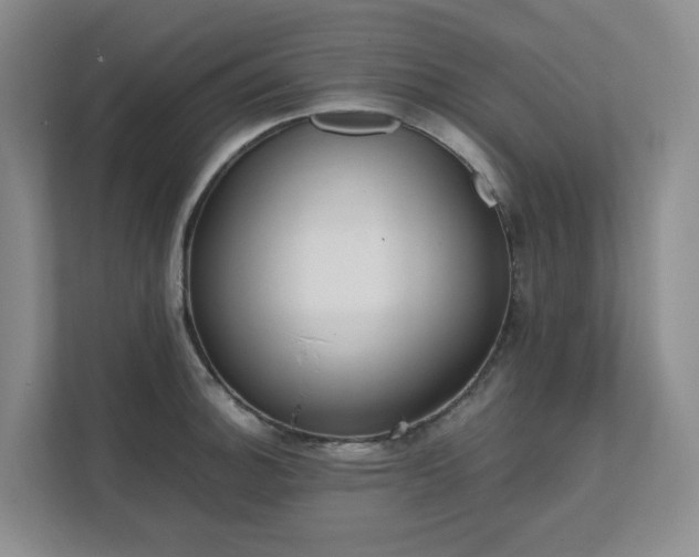 X0000111491140200907211004