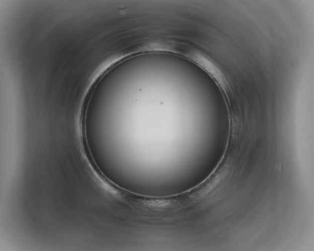 X0000111491141200907211004