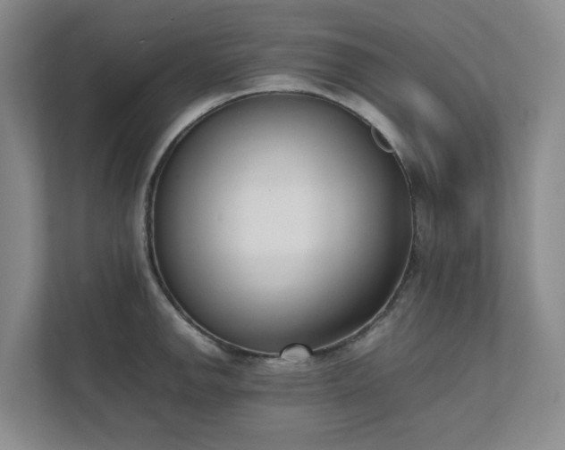 X0000111491142200907211004