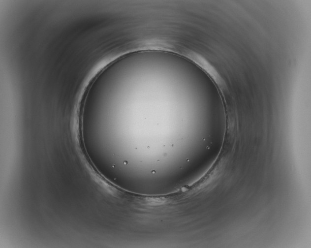 X0000111491144200907211004