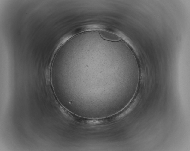 X0000111491145200907211004